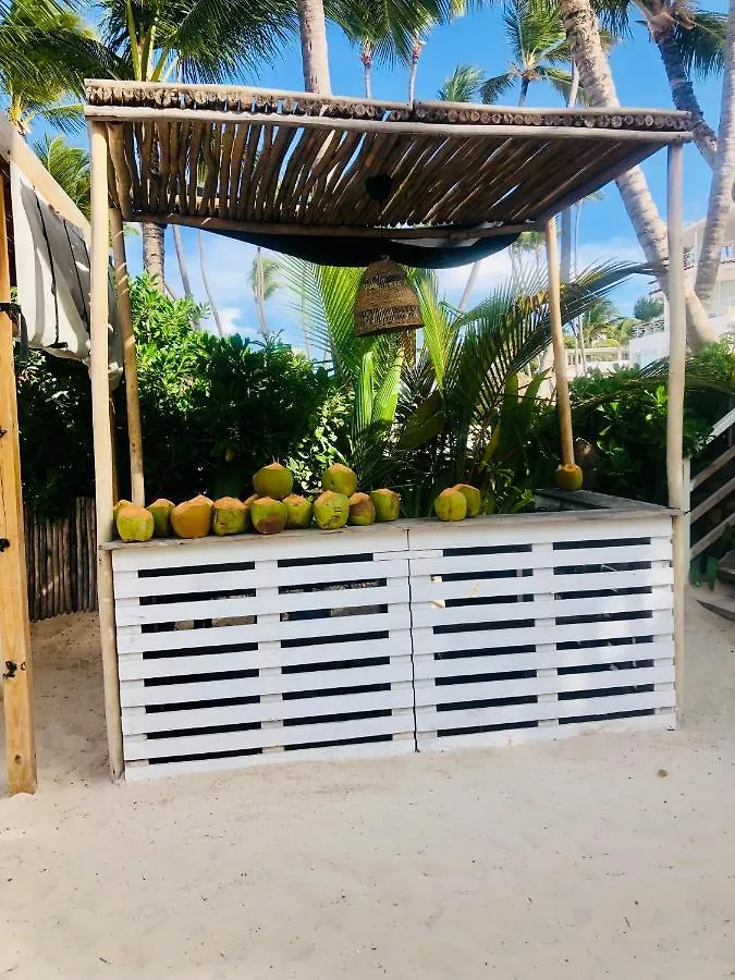 Ξενοδοχείο Ducassi Rooftop Pool Luxury Suites Beach Club And Spa Μπάβαρο